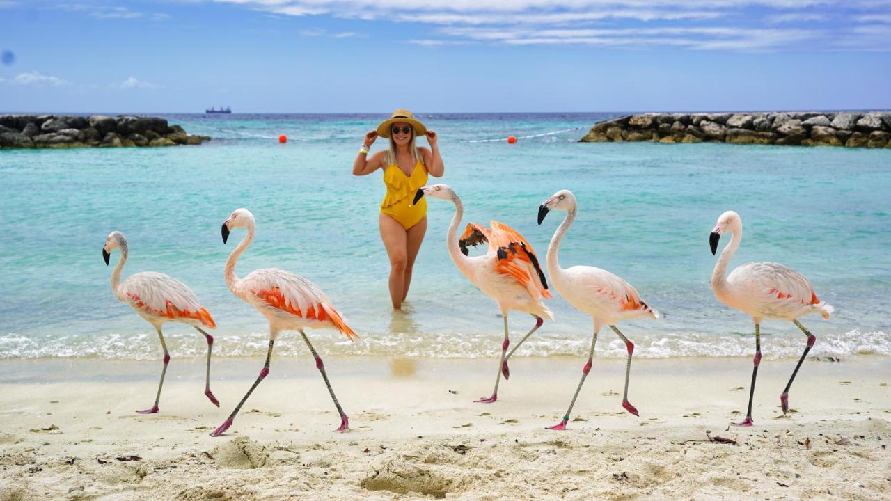 Ruby 15 Villa Palm Beach Dış mekan fotoğraf